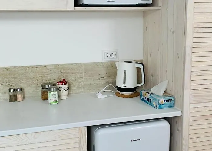 Amos Homes -scarlatescu 27-29